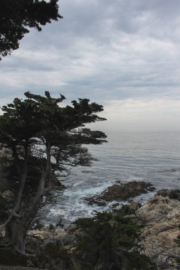 Kayalık Monterey Ca Sunrise,