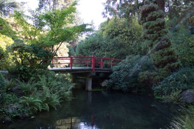 Kırmızı Kiraz Bridge'de bir Japon Bahçesi