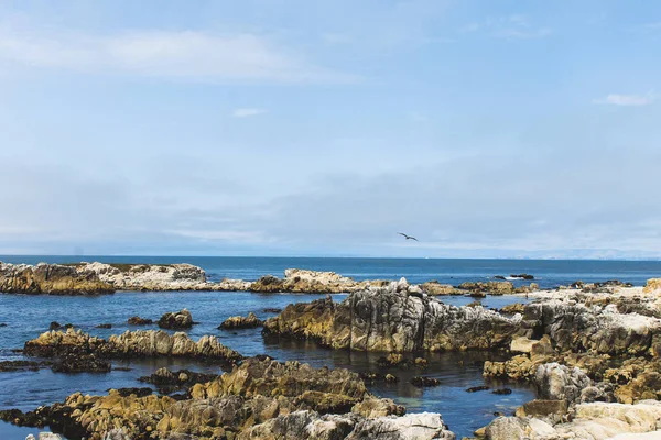 Güzel dalgalar Monterey Körfezi, Kaliforniya - kayalık sahil kıyıları Big Sur, Monterey County, Kaliforniya kırmak