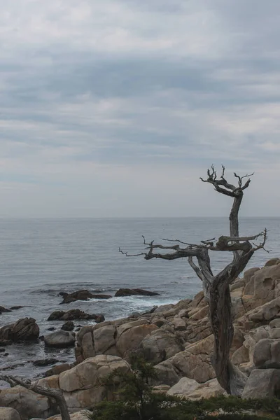 Sunrise Στις Βραχώδεις Monterey — Φωτογραφία Αρχείου