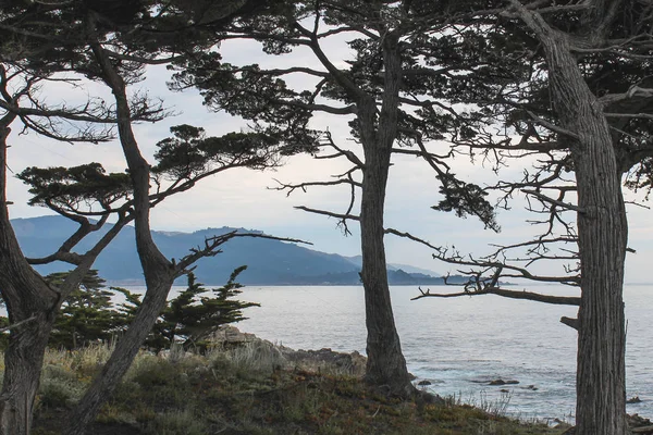 Kayalık Monterey Ca Sunrise,