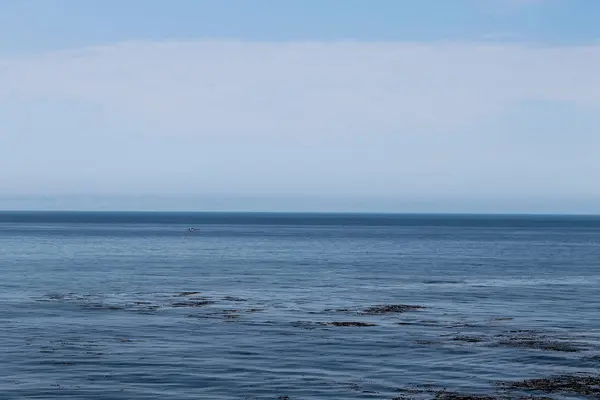 Όμορφα Κύματα Που Σκάνε Στην Ακτή Του Monterey Καλιφόρνια — Φωτογραφία Αρχείου