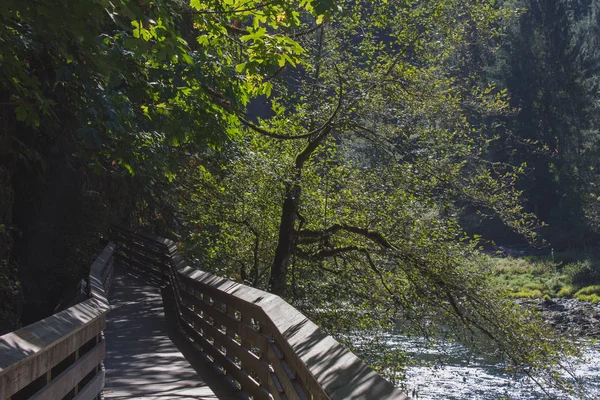 Snoqualmie Seattle, WA nehir düşüyor