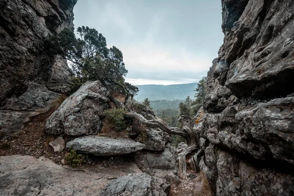 森林景观 在一座岩石山的背后 可以看到雨云 — 图库照片
