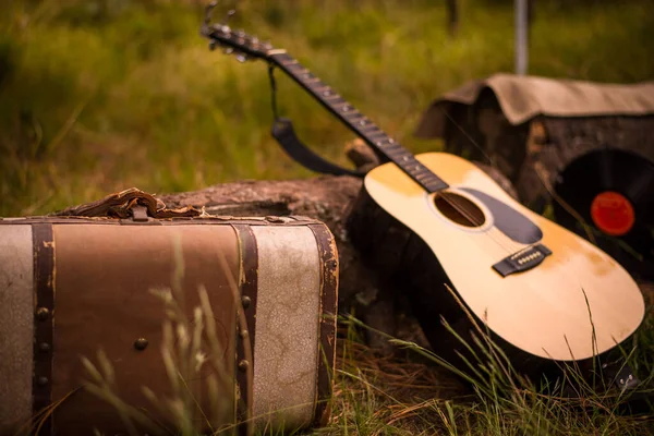 Resande Musiker Kit Gitarr Resväska Ryggsäck Gräset Läger Musiker Pojkar — Stockfoto