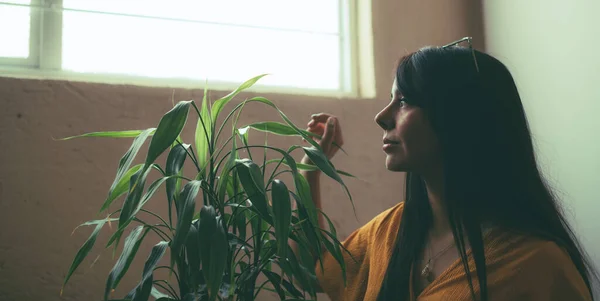 Латиноамериканка Смотрит Окно Заботясь Своем Бамбуковом Растении Старом Фото Девушка — стоковое фото