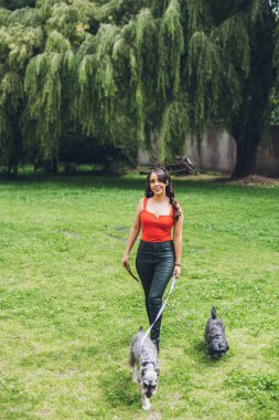 Köpekleri kırmızı bluz ve siyah pantolon giymiş, kafasında kırmızı bir fiyonk olan bir kız parkta köpeğini dolaştırıyor. Köpekleri Schnauzer ve siyah bir Shitzu. Çimlerin üzerinde yürüyordum. 2