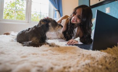 Bilgisayarında çalışan, beyaz bir battaniye elbisesi giyen Schnauzer köpeğinin yanında yatağında yatan bir kız, bir öğleden sonra işte ve evcil hayvanıyla. 2