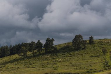 Minimalist manzara, dağın arkasında bulutlu bir gökyüzü olan tepedeki ağaçlar.
