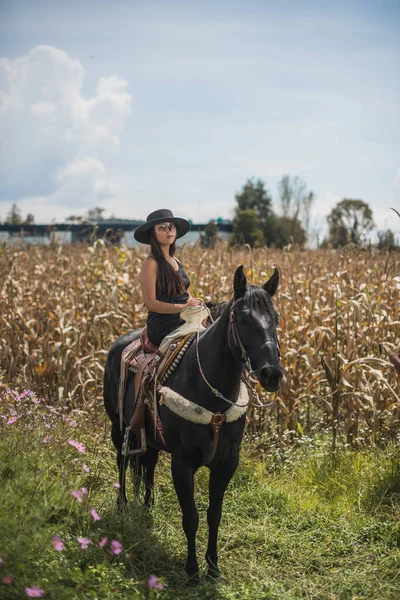 女孩化装成卡特琳娜 墨西哥女性死亡人物 身穿黑色衣服 站在玉米地中央 开着紫苏花 抚摸着一匹马 — 图库照片