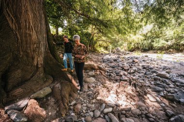 Anne ve kızı nehir kıyısında yürüyor, bitkiler ve böcekler gibi küçük detayları inceliyor ve iyi vakit geçiriyorlar..