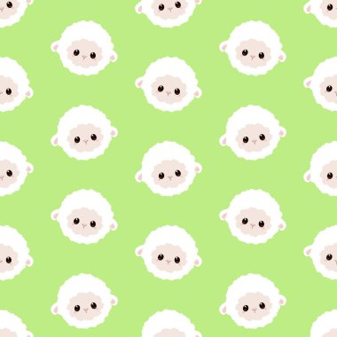 sevimli küçük koyun