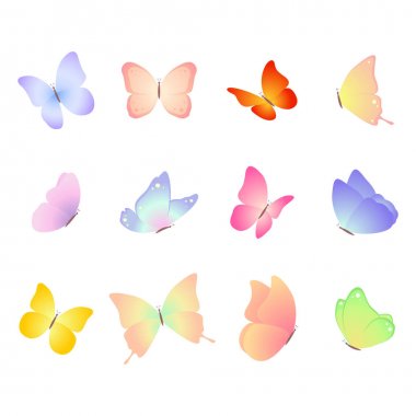 Kelebek. Beyaz arka planda yalıtılmış vektör kümesi