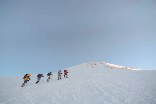 Group Climbers Climb Mount Elbrus — Stock Photo, Image