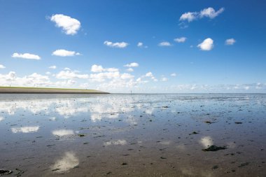 Deniz manzarası bulutların alçak gelgit sularındaki yansıması, Waddenzee, Friesland, Hollanda