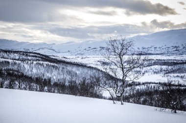 Karlı Norveç dağ manzarası, Nordland, Norveç