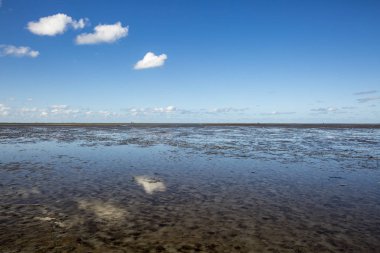 Deniz manzarası bulutların alçak gelgit sularındaki yansıması, Waddenzee, Friesland, Hollanda