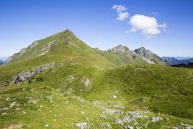 Bukolik yeşil yaz alp manzara, İsviçre Alpleri dağ masifi, kton du Valais, İsviçre