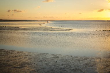 Düşük gelgit su, Waddenzee, Friesland, Hollanda bulutların yansıması ile gün batımında Deniz manzara