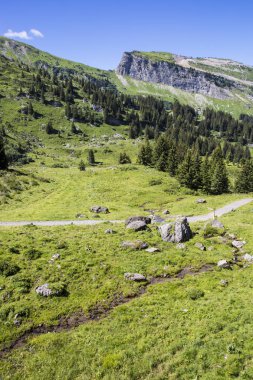 Bukolik yeşil yaz alp manzara, İsviçre Alpleri dağ masifi, kton du Valais, İsviçre