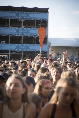 Nyon, İsviçre - 20 Temmuz 2017: Fransız şarkıcı Vianney'in Paleo Festivali konserinde seyirciler tezahürat yapıyor