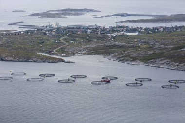 Traenafestival sırasında alınan bir fiyort balık çiftliği ile Norveç manzara, Traena küçük adada yer alan müzik festivali