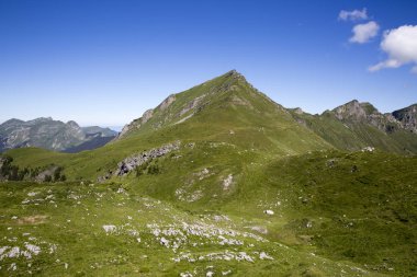 Bukolik yeşil yaz alp manzara, İsviçre Alpleri dağ masifi, kton du Valais, İsviçre