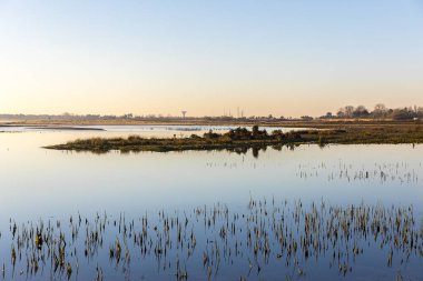 deniz şubat 2010'da fırtına Xynthia sonra dike üzerinden gitti sonra doğa rezerv Casse de la Belle Henriette de lagün alacakaranlık