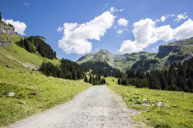 Bukolik yeşil yaz alp manzara, İsviçre Alpleri dağ masifi, kton du Valais, İsviçre