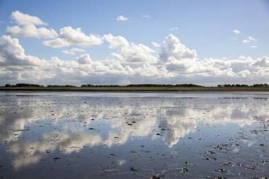 Deniz manzarası bulutların alçak gelgit sularındaki yansıması, Waddenzee, Friesland, Hollanda