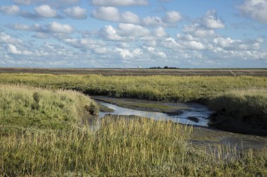 Fundalık, mavi gökyüzü ve bulut, Waddenzee, Friesland, Hollanda ile deniz manzara