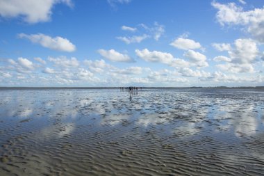 Deniz manzarası bulutların alçak gelgit sularındaki yansıması, Waddenzee, Friesland, Hollanda