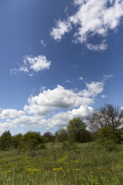 Arka planda alan ve dağ ve mavi gökyüzü ve kabarık beyaz bulutlar ile baharkırsal manzara, Hırvatistan