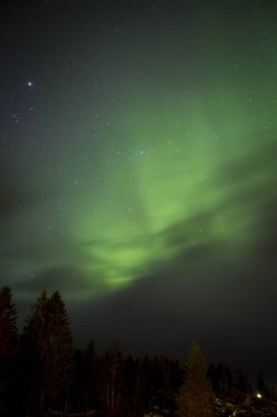 Green Northern Light, Nordland, Norveç