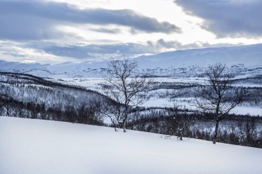 Güzel kış manzarası. Doğal arkaplan