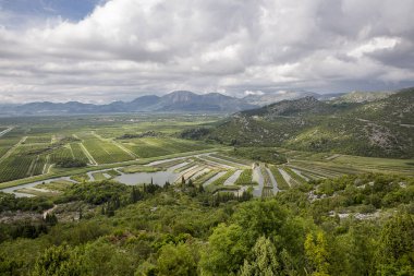 Hırvatistan'da Neretva nehir deltasında yeşil alanlar, tarım alanı üzerinde görünüm