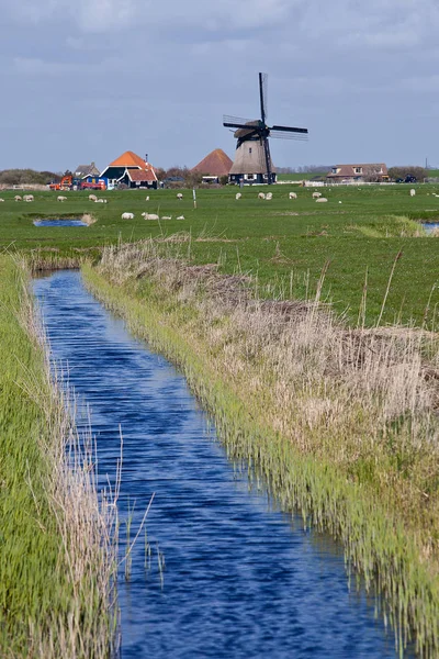 Primavera Los Países Bajos Paisaje Holandés Con Molino Viento Canal — Foto de Stock