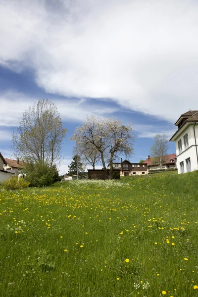 Landskap Jura Berg Med Blommande Grön Äng Och Chalets Schweitz — Stockfoto