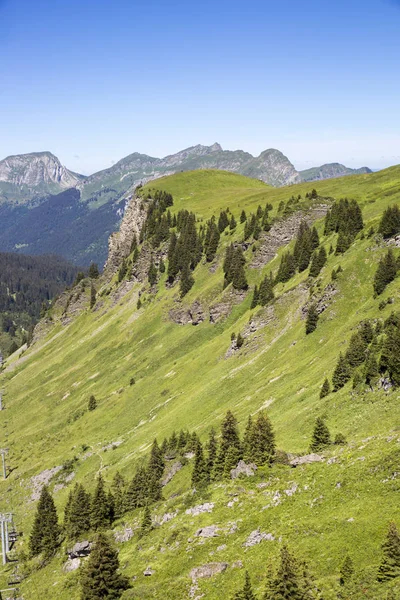 Paysage Alpin Verdoyant Bucolique Été Massif Alpin Suisse Canton Valais — Photo