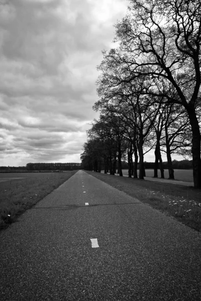 Printemps Aux Pays Bas Paysage Néerlandais Piste Cyclable Noir Blanc — Photo