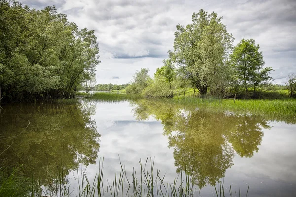 Idylliska Naturlandskap Med Sjö Grön Vegetation Och Himmel Med Molnreflekterande — Stockfoto