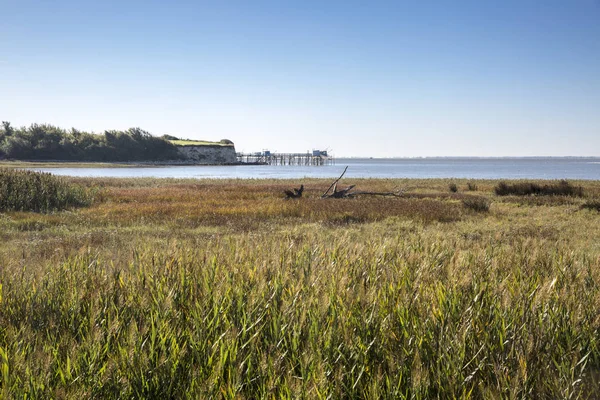 Maritiem Kustlandschap Van Monding Van Gironde Met Glanzende Zonneschijn Blauwe — Stockfoto