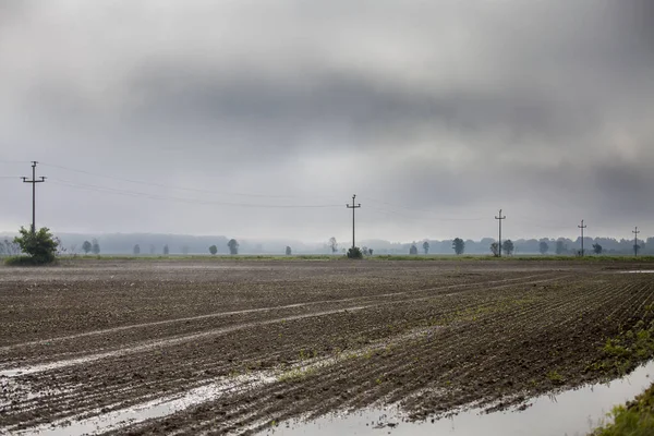 Nevoeiro Sobre Campo Molhado Parque Natural Lonjsko Polje Com Silhueta — Fotografia de Stock