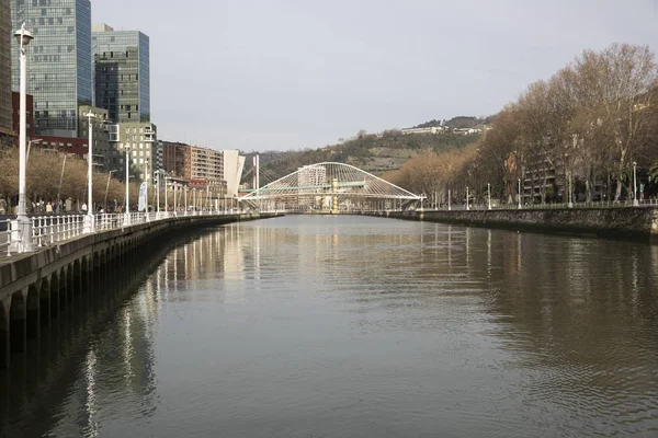 Bilbao Hiszpania Stycznia 2016 Nervion Nowoczesnym Mostem Zubizuri Zaprojektowany Przez — Zdjęcie stockowe