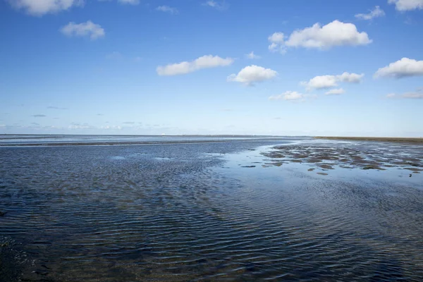 Deniz manzarası bulutların alçak gelgit sularındaki yansıması, Waddenzee, Friesland, Hollanda