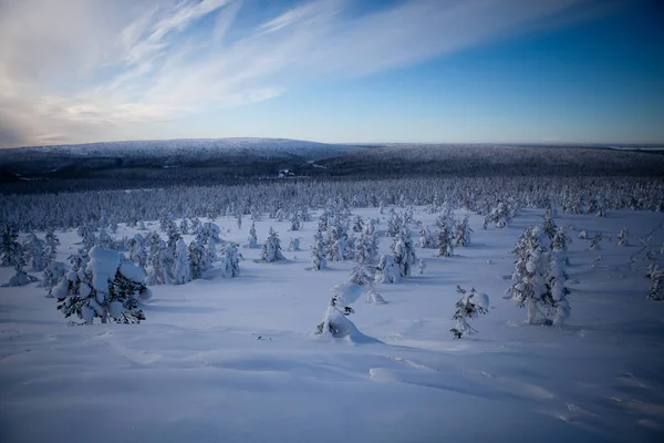 Зимний Финский Снежный Пейзаж — стоковое фото