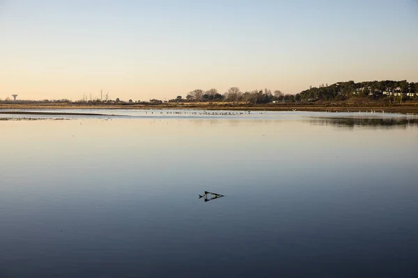 Abenddämmerung Auf Der Lagune Naturschutzgebiet Casse Belle Henriette Nachdem Das — Stockfoto