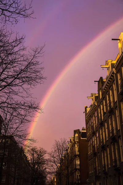 Regnbåge Lila Himmel Över Byggnader Gata Amsterdam Nederländerna — Stockfoto