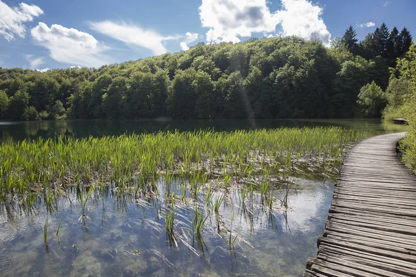 Landschaft Mit Holzpfad Über Das Wasser Nationalpark Plitvicer Seen Kroatien — Stockfoto