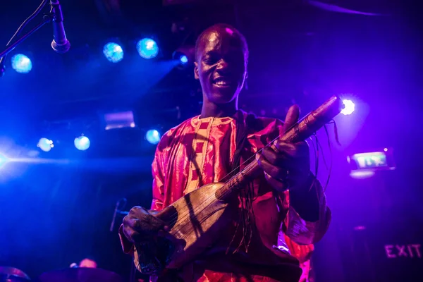 Amsterdam Niederlande Februar 2016 Konzert Der Afrikanischen Band Mali Bko — Stockfoto